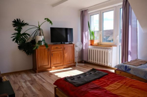 Pokoje u Ani in Leśny Rów